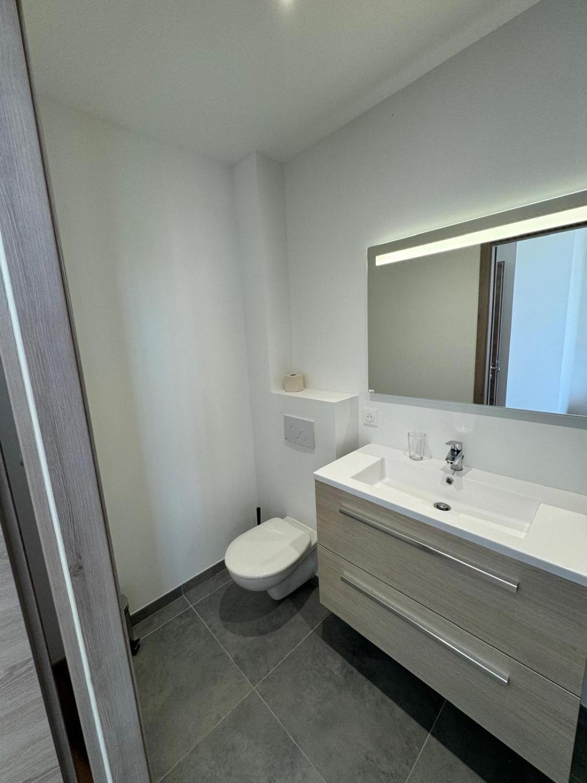 Studio Avec Wc Et Sdb Prives Dans Grande Maison A Cote Du Campus Artem - Thermal Et Parc Des Expos Vandoeuvre-les-Nancy Bagian luar foto